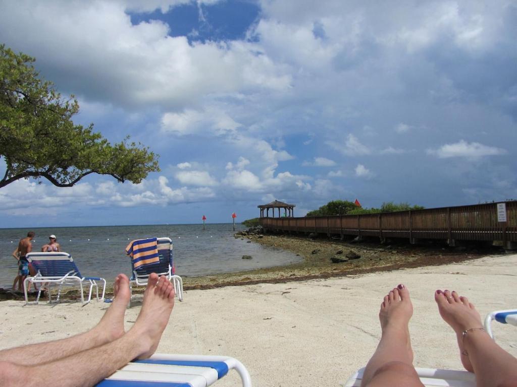 Tropical Daze Oceanfront Paradise Tavernier المظهر الخارجي الصورة
