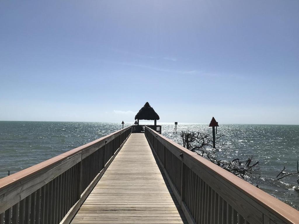 Tropical Daze Oceanfront Paradise Tavernier المظهر الخارجي الصورة